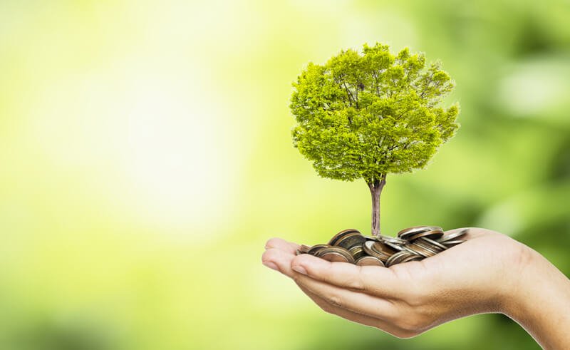 Professional Insurance Broking Services for Financial lines in UAE